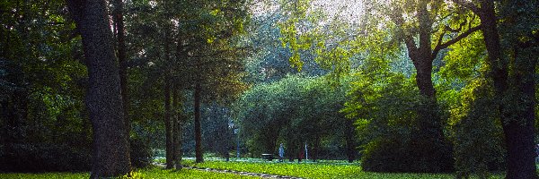 Ciechocinek, Park Zdrojowy, Park