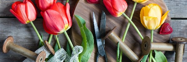 Tulipany, Kompozycja, Nożyczki, Kolorowe