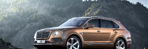 SUV, Bentley Bentayga