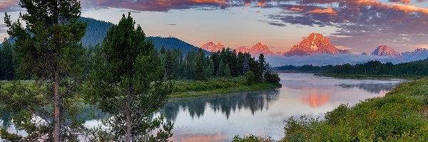 Stan Wyoming, Góry Skaliste, Park Narodowy Grand Teton, Stany Zjednoczone, Rzeka Snake River, Drzewa, Las