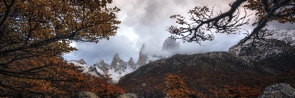 Drzewa, Góry Andy, Argentyna, Patagonia, Park Narodowy Los Glaciares, Gałęzie, Kamienie, Jesień