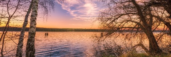 Drzewa, Jezioro, Brzozy, Wschód słońca, Chmury