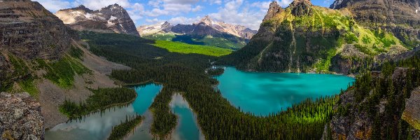 Prowincja Kolumbia Brytyjska, Jezioro O Hara, Park Narodowy Yoho, Kanada, Lasy, Góry Canadian Rockies