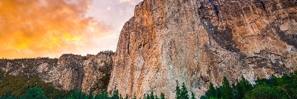 Lasy, Park Narodowy Yosemite, Góry, Chmury, Stan Kalifornia, Stany Zjednoczone