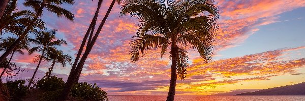 Zachód słońca, Morze, Palmy, Hawaje