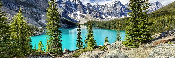Drzewa, Las, Park Narodowy Banff, Alberta, Kanada, Góry, Chmury, Jezioro Moraine, Kamienie