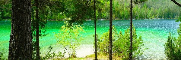 Las, Góry, Jezioro