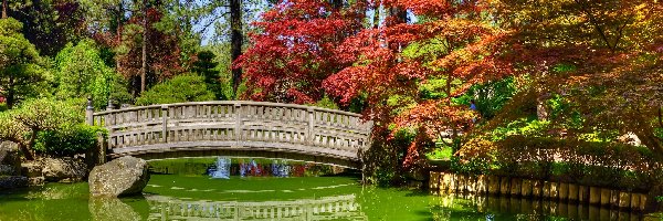 Stany Zjednoczone, Staw, Mostek, Ogród japoński, Ogród Nishinomiya Tsutakawa Japanese Garden, Stan Waszyngton, Miasto Spokane