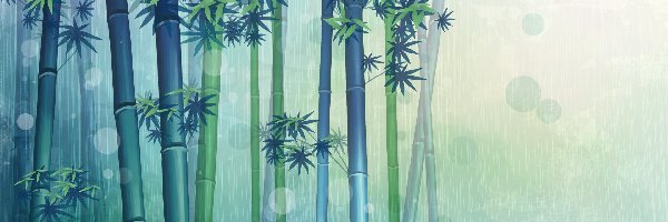 Bambus, Pędy