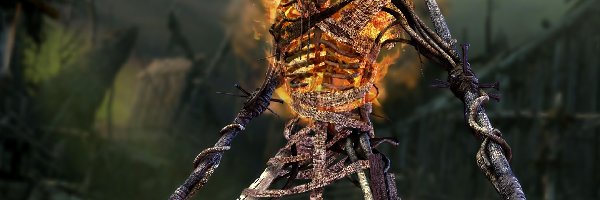 Warrior Skeleton, Castlevania
