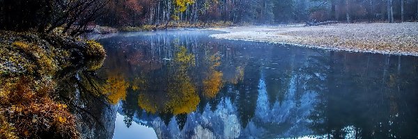 Jesień, Liście, Rzeka, Mgła, Drzewa