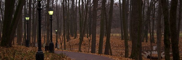 Park, Latarnie, Alejka, Jesień