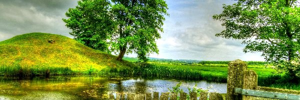 Pole, Wzgórek, Płotek, HDR, Drzewa, Jeziorko