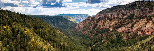 Skały, Góry, Park Stanowy Slide Rock, Kanion Oak Creek Canyon, Wąwóz, Stany Zjednoczone, Stan Arizona, Kanion, Lasy