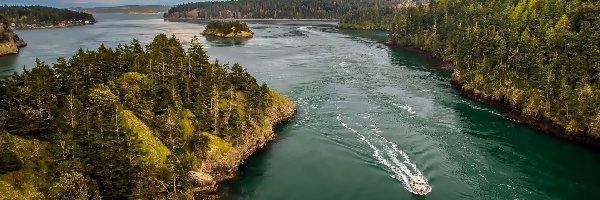 Łódka, Wyspy, Lasy, Waszyngton, Puget Sound