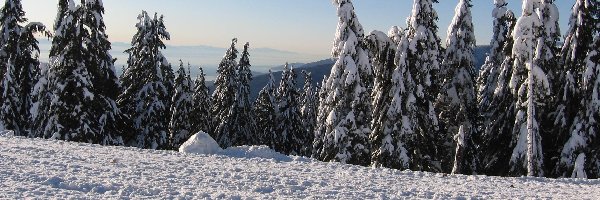Śnieg, Kanada, Góry, Zima