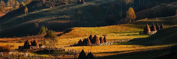 Wzgórza, Pola, Jesień