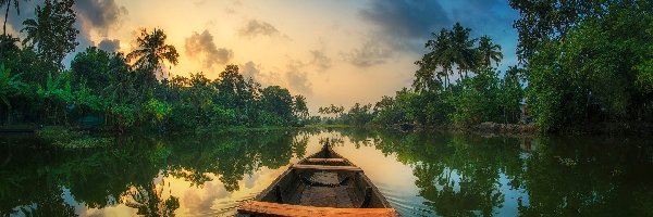 Łódka, Indie, Rozlewiska Kerali, Dżungla, Rzeka