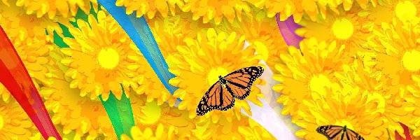 Motylki, Kwiatki, Żółte