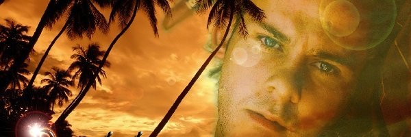 plaża, palmy, Dominic Monaghan