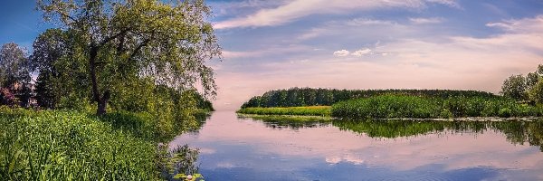 Drzewa, Zarośla, Jezioro