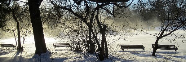 Mgła, W Hartford, Zima, Ławeczki, Elizabeth, Park