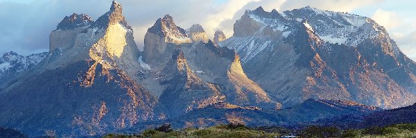 Patagonia, Roślinność, Park Narodowy Torres del Paine, Chile, Góry Cordillera del Paine, Stopnie, Drewniane