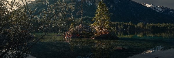 Jezioro Hintersee, Skały, Wiosna, Bazie, Drzewa, Bawaria, Niemcy Wierzba, Góry Alpy