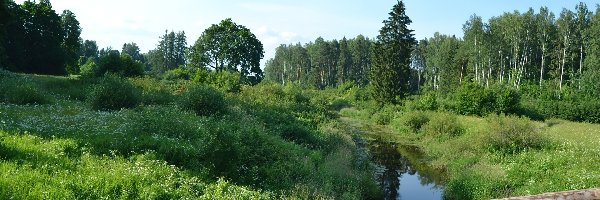 Łąka, Las, Rzeka, Belka