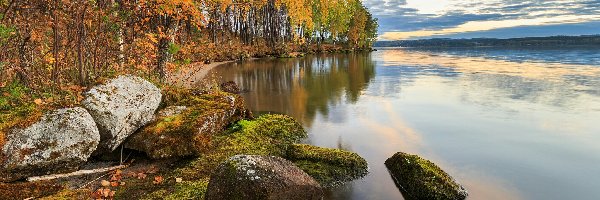 Jezioro Tavatuy, Ural, Brzozy, Drzewa, Jesień, Omszałe, Kamienie, Rosja
