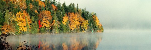 Jesień, Drzewa, Kolorowe, Odbicie, Jezioro
