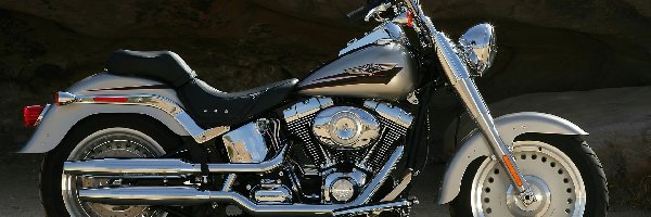 Harley-Davidson FLSTF Fat Boy