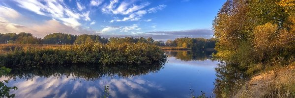Rzeka Woroneż, Rosja, Miejscowość Chertovitsy, Chmury, Drzewa