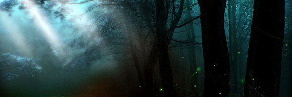 Drzewa, Światło, Przebijające