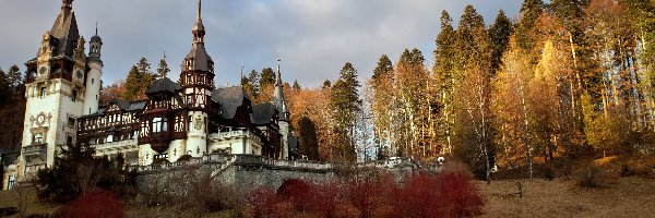 Drzewa, Wzgórze, Zamek