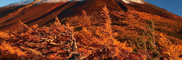 Jesień, Fuji, Wulkan