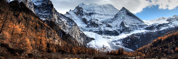 Ścieżka, Las, Góry, Zima