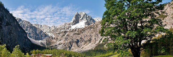 Gramai, Lasy, Łąka, Góry, Tyrol, Alpengasthof, Hotel