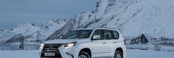 2014, Lexus GX 460, Biały