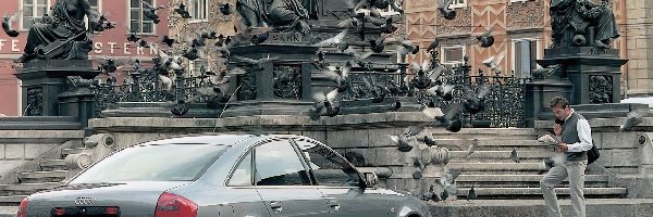 gołębie, Pomnik, Audi A6