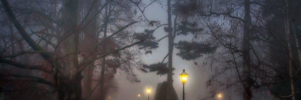 Park, Wieczór, Aleja, Mgła, Latarnie