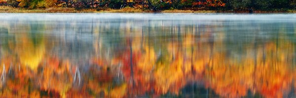 Drzewa, Jesień, Jezioro, Kolorowe