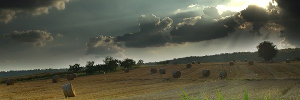 Polu, Na, Siano