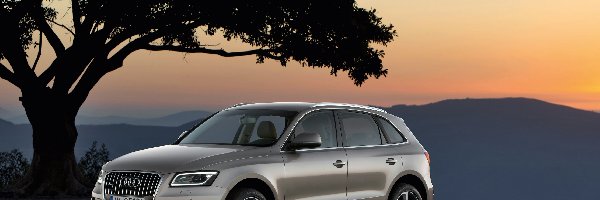 Audi Q5 SUV