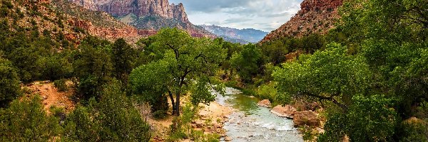 Drzewa, Park Narodowy Zion, Góry, Stan Utah, Stany Zjednoczone, Rzeka Virgin River, Góra Watchman