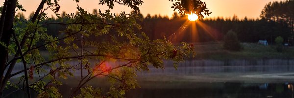 Promienie, Jarzębina, Słońca, Rzeka