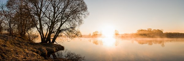 Drzewa, Jezioro, Wschód słońca