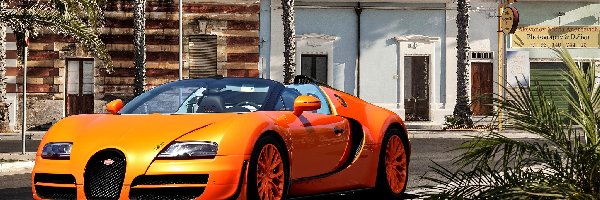 Palmy, Ulica, Bugatti Veyron Vitesse