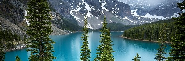 Świerki, Park Narodowy Banff, Jezioro Moraine, Prowincja Alberta, Kanada, Chmury, Drzewa