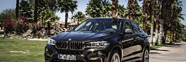 BMW X6 F16